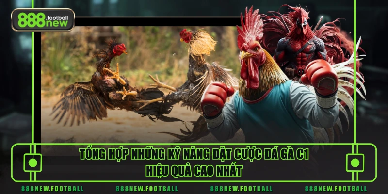 Đá Gà C1 - Đấu Trường Hội Tụ Chiến Kê Mạnh Nhất Năm 2026 3 Tổng hợp những kỹ năng đặt cược đá gà C1 hiệu quả cao nhất